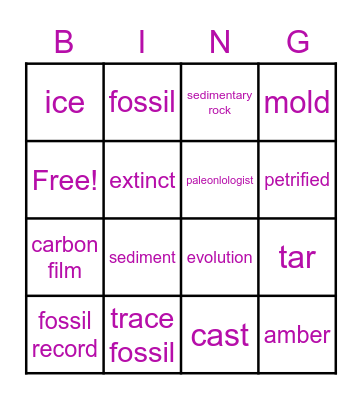 Fossil Bingo Card