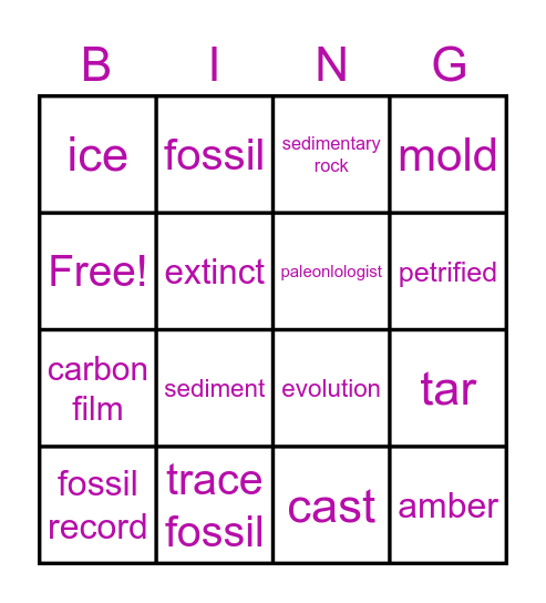 Fossil Bingo Card
