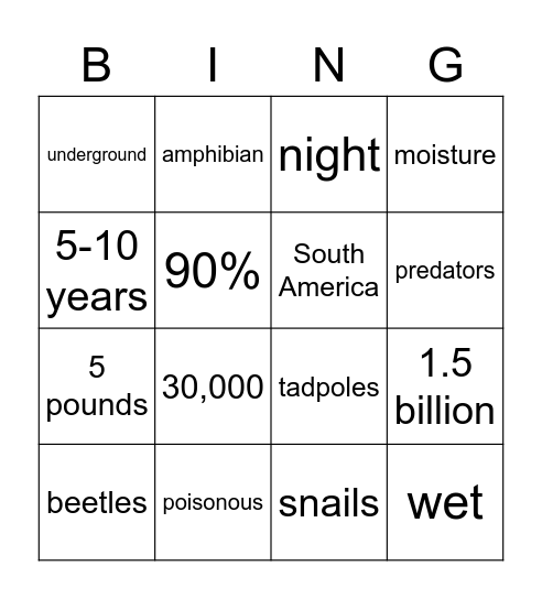 Cane Toads by Amelia Wilburn Bingo Card