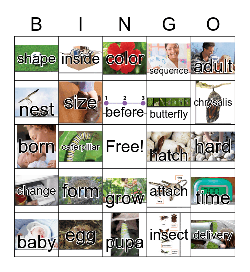 1st Grade, Unit 4 Bingo Card