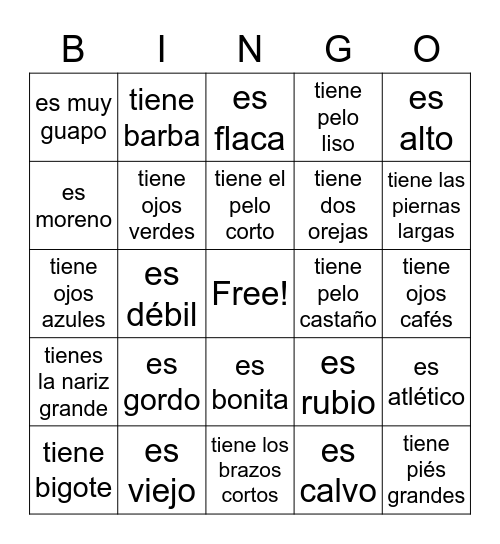 Descripciones físicas Bingo Card