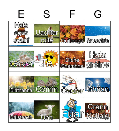 Biongo Na Séasúir Bingo Card