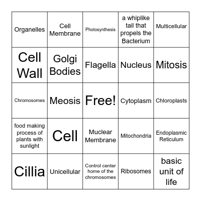 Cells Vocabulary Bingo Card