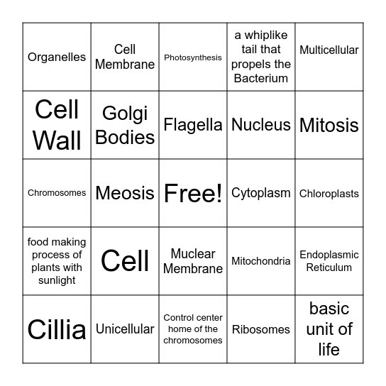 Cells Vocabulary Bingo Card