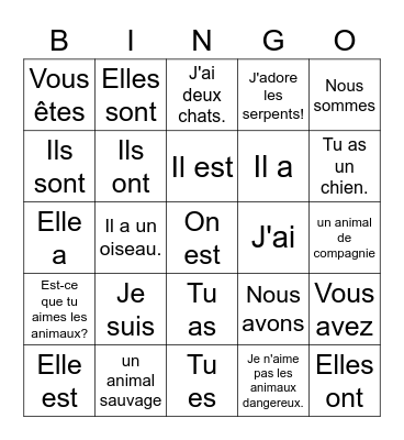 Etre et Avoir Bingo Card