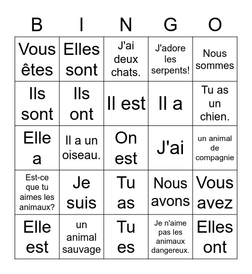 Etre et Avoir Bingo Card