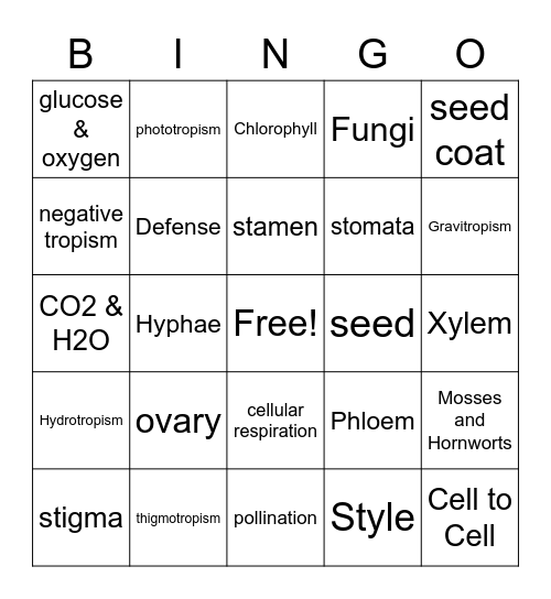 Plants Review Bingo Card