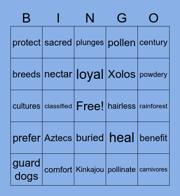 Kinkajous and Sacred Pets Vocabulary Bingo Card