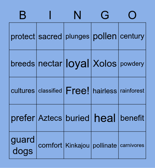 Kinkajous and Sacred Pets Vocabulary Bingo Card