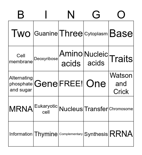 DNA and RNA 2 Bingo Card