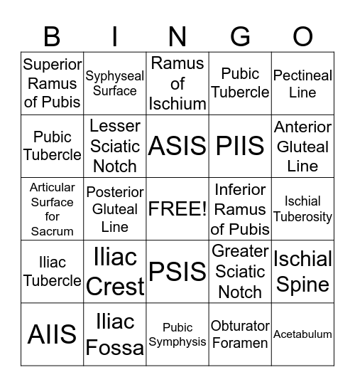 Bony Landmarks of the Pelvis & Thigh - Bell Ringer! Bingo Card