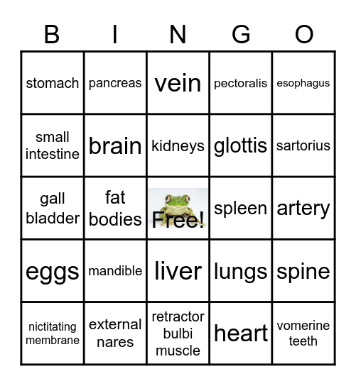 Frog Organ Bingo Card