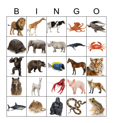 Animals Bingo Card