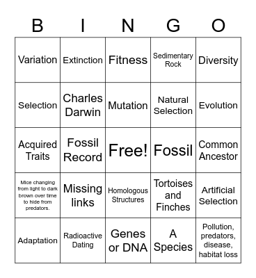 Evolution and Natural Selection Bingo Card