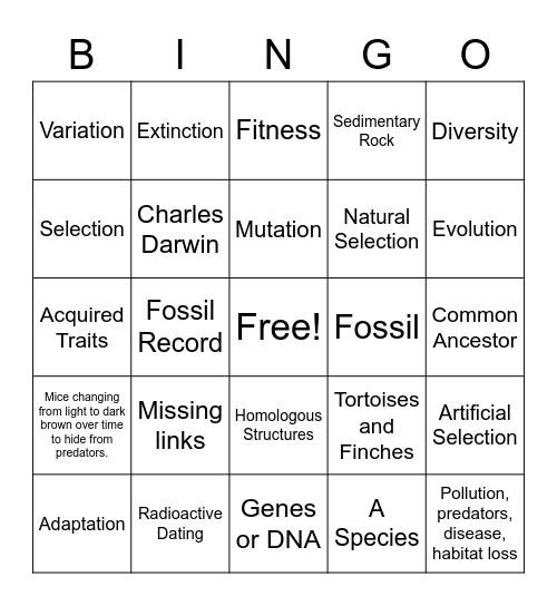 Evolution and Natural Selection Bingo Card