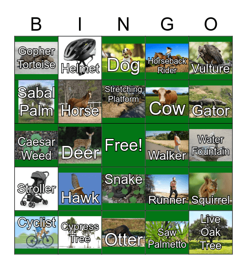 Van Fleet State Trail BINGO Card