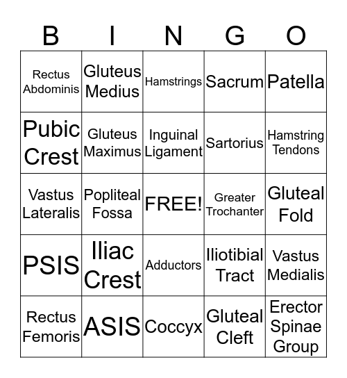 Topographical Views of Pelvis & Thigh - Bell Ringer! Bingo Card