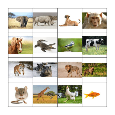 Animal Bingo Card