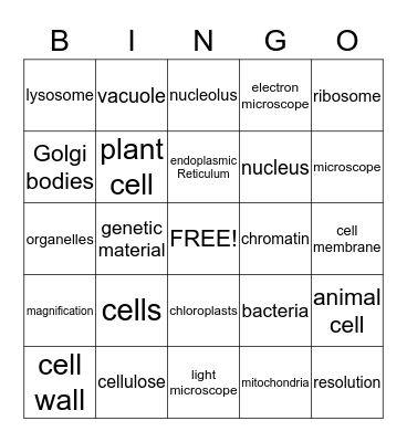 CELLS Bingo Card