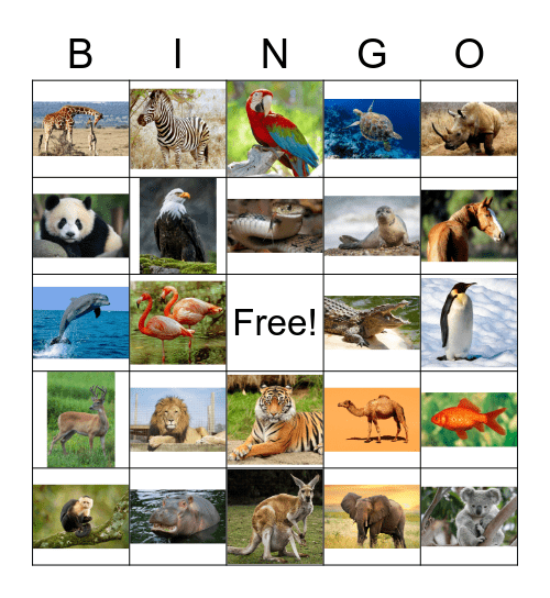 Zoo Animals Bingo Card