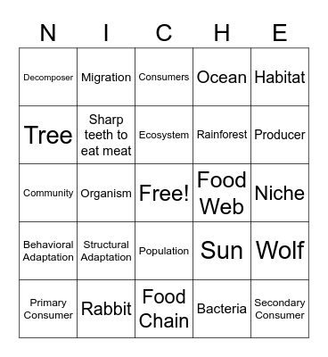 Niche Bingo Card