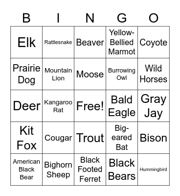 Animals of Colorado Bingo Card