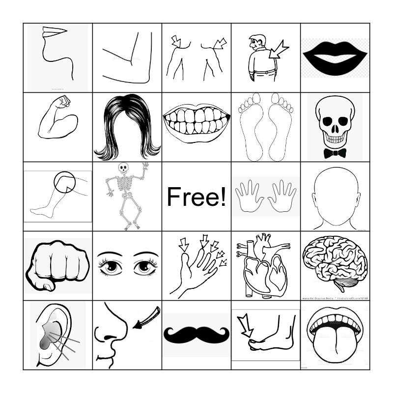 THE HUMAN BODY PARTS Bingo Card