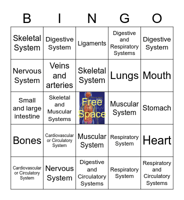 Body Systems Bingo Card