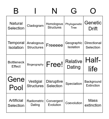 Evolution BINGO Card