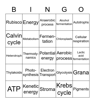 Biology Chapter 8 Bingo Card