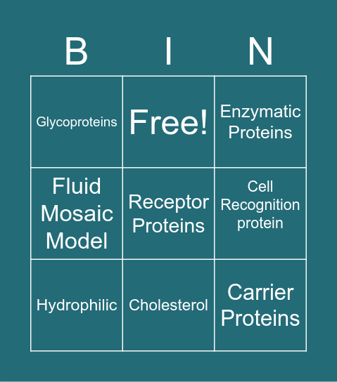 Cell Membrane Vocabulary Review Bingo Card