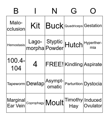 Small Animal Review Bingo Card