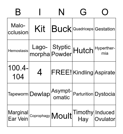 Small Animal Review Bingo Card