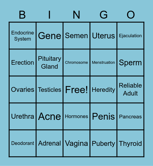Puberty Review Bingo Card