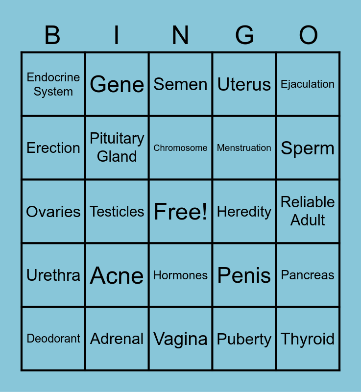 puberty-review-bingo-card