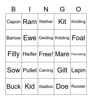 Animal Terminology Bingo Card