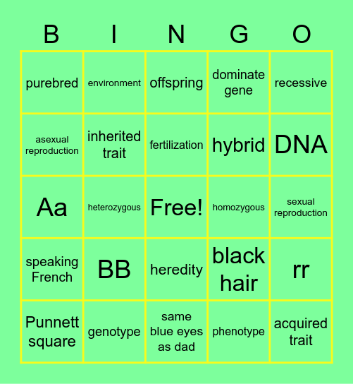 inherited traits Bingo Card