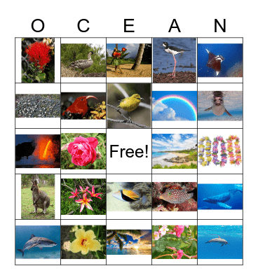 Animal Luau! Bingo Card