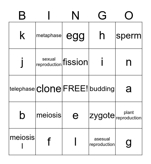 reproduction Bingo Card
