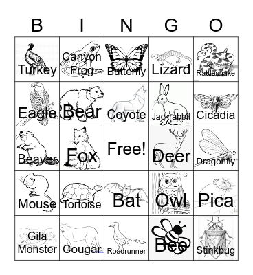 Southern Utah Animals Bingo Card