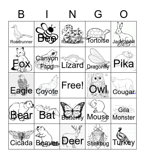 Southern Utah Animals Bingo Card