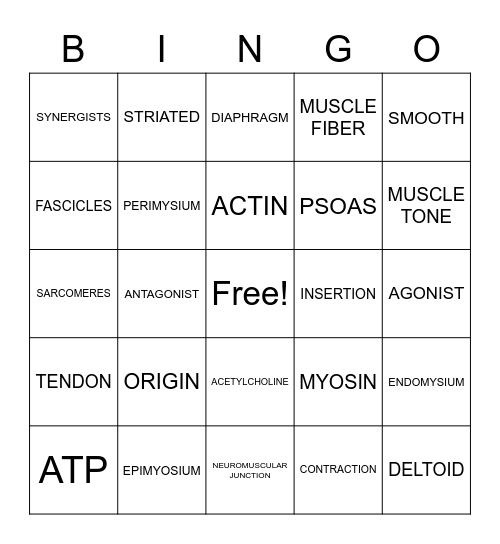 MUSCLES Bingo Card