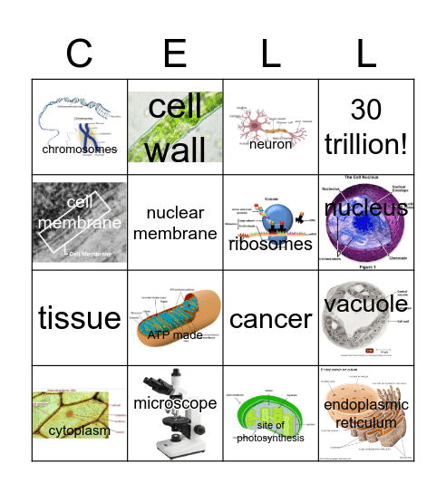 Cell Bingo Card