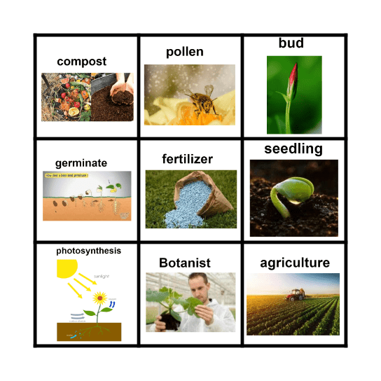 Plants Bingo Card