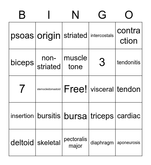 Muscles Bingo Card