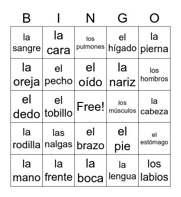 Las Partes del Cuerpo Español 3 Bingo Card