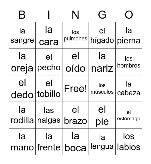 Las Partes del Cuerpo Español 3 Bingo Card