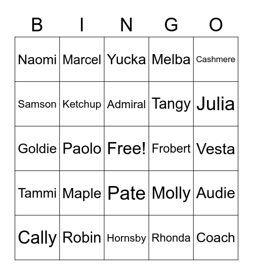 villager bingo Card
