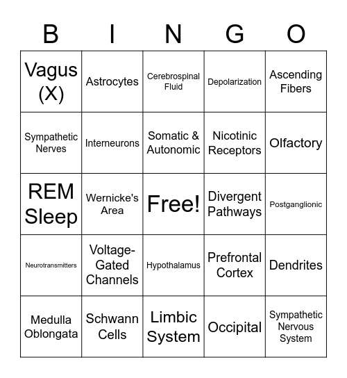 Module 3 Bingo Card