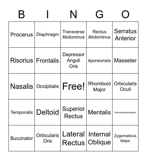 Muscles Bingo Card